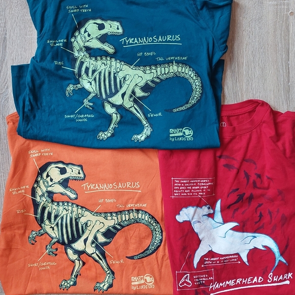 Lands' End Other - Land's End euc/ln Size 14-16 tees